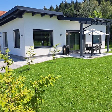 Villa Good Times @ Salzburg Koppl Esterno foto